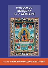 Pratique bouddha médecine d'occasion  Livré partout en Belgiqu