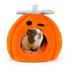 Yuepet guinea pig for sale  Delivered anywhere in USA 