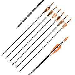 Elong fiberglass arrows for sale  Delivered anywhere in USA 