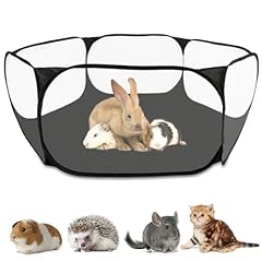 Rypet guinea pig for sale  Delivered anywhere in USA 