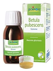 Boiron betula pubescens usato  Spedito ovunque in Italia 