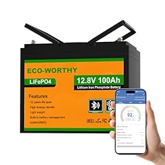 Eco worthy 12v gebraucht kaufen  Wird an jeden Ort in Deutschland