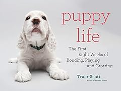 Puppy life first for sale  Delivered anywhere in USA 
