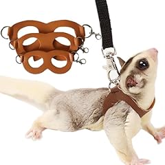 Pack sugar glider for sale  Delivered anywhere in USA 