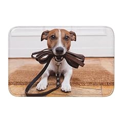 Tcoay dogs jack for sale  Delivered anywhere in UK