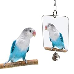 Bird mirror bird for sale  Delivered anywhere in USA 
