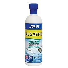 Api algaefix algae for sale  Delivered anywhere in USA 