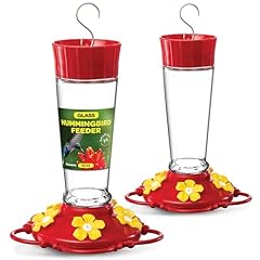 Hummingbird feeder set for sale  Delivered anywhere in USA 