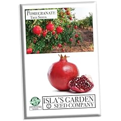 Pomegranate tree seeds for sale  Delivered anywhere in USA 