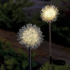 Art artifact dandelion for sale  Delivered anywhere in USA 