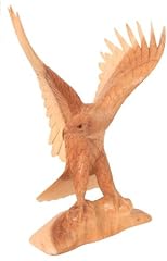 Woru adler soar gebraucht kaufen  Wird an jeden Ort in Deutschland
