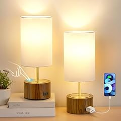 Ejiaxin touch lamps for sale  Delivered anywhere in USA 