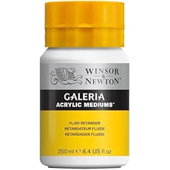 Winsor newton galeria usato  Spedito ovunque in Italia 