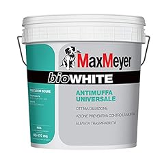 Max meyer pittura usato  Spedito ovunque in Italia 