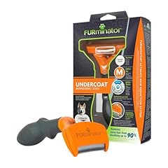 Furminator cane pelo usato  Spedito ovunque in Italia 