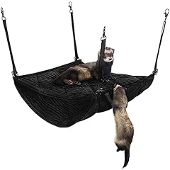 Brothers wholesale ferret for sale  Delivered anywhere in USA 