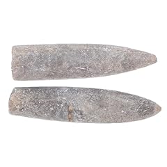 Magiclulu stück fossilien gebraucht kaufen  Wird an jeden Ort in Deutschland