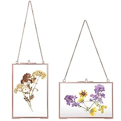 Juxyes set rose for sale  Delivered anywhere in USA 