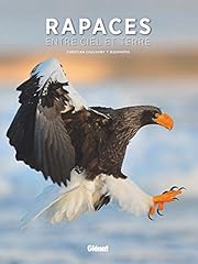 Rapaces ciel terre d'occasion  Livré partout en Belgiqu