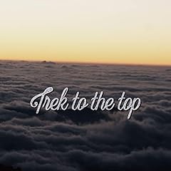 Trek the top usato  Spedito ovunque in Italia 