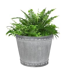 Vintage style plant for sale  Delivered anywhere in UK