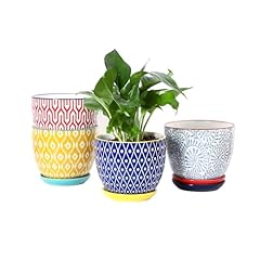 Selamica ceramic plant for sale  Delivered anywhere in USA 