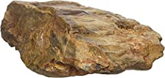 Amtra petrified rock for sale  Delivered anywhere in UK