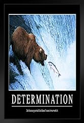 Determination bear water for sale  Delivered anywhere in USA 