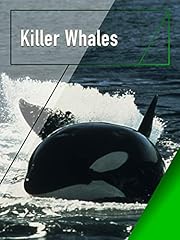 Killer whales for sale  Delivered anywhere in UK