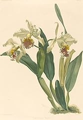 Art print leutzsch for sale  Delivered anywhere in USA 