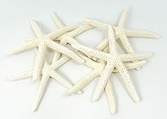 Starfish decor star for sale  Delivered anywhere in USA 