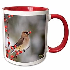 3drose cedar waxwing for sale  Delivered anywhere in USA 