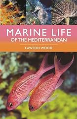 Marine life mediterranean for sale  Delivered anywhere in UK