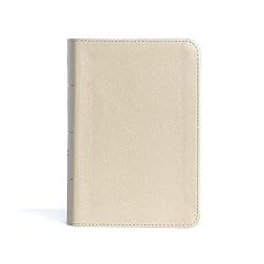 The holy bible usato  Spedito ovunque in Italia 