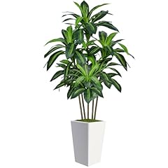 6ft artificial dracaena for sale  Delivered anywhere in USA 