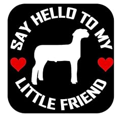 Sheep little friend for sale  Delivered anywhere in USA 
