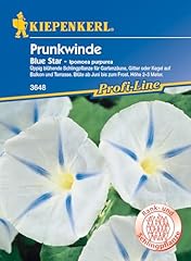 Kiepenkerl blumensamen prunkwi gebraucht kaufen  Wird an jeden Ort in Deutschland