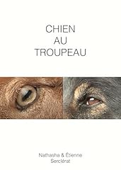 Chien troupeau d'occasion  Livré partout en France