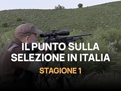 Punto sulla selezione usato  Spedito ovunque in Italia 