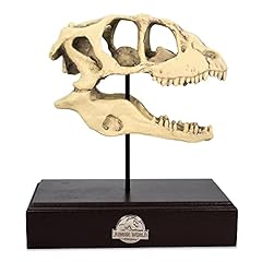 Jurassic velociraptor skull for sale  Delivered anywhere in USA 