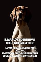 Manuale definitivo dell usato  Spedito ovunque in Italia 