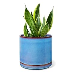 Efispss inch ceramic for sale  Delivered anywhere in USA 