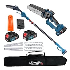 Cordless pole saw for sale  Delivered anywhere in USA 