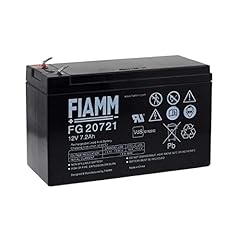 Fiamm batteria ricaricabile usato  Spedito ovunque in Italia 
