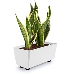 Konzept blumentopf füßen gebraucht kaufen  Wird an jeden Ort in Deutschland