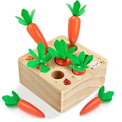 Fzhzz montessori toys for sale  Delivered anywhere in USA 