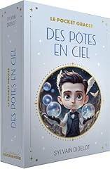 sacs sylvain lefebvre d'occasion sacs sylvain lefebvre d'occasion Livré partout en France