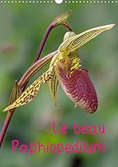 Beau paphiopedilum calendrier d'occasion  Livré partout en France