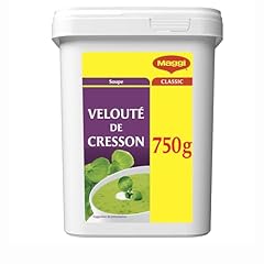 Maggi professional velouté d'occasion  Livré partout en France