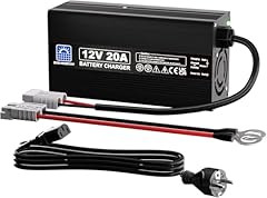 Eco worthy chargeur d'occasion  Livré partout en France